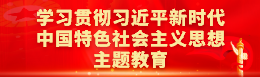 学习贯彻习近平新时代中国特色社会主义思想主题教育（已归档）